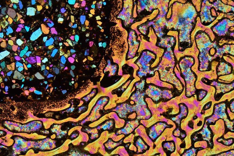 Dinosaur Bone in Yellow