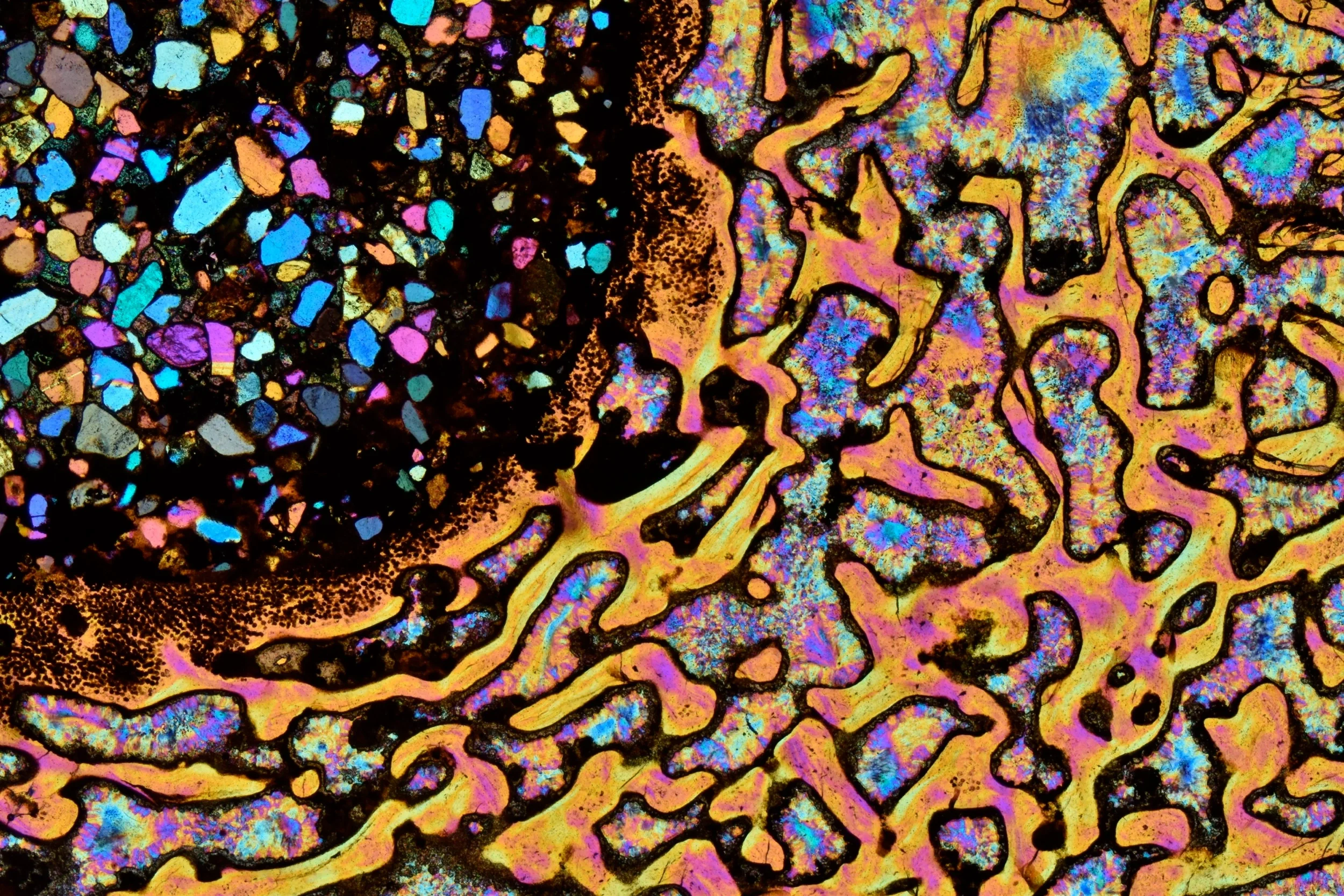 Dinosaur Bone in Yellow