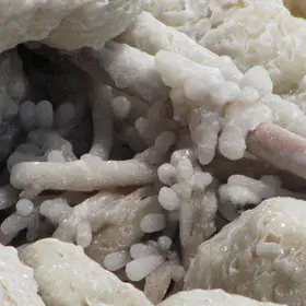 Fingers of salt in the Dead Sea