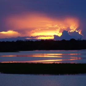 Among the channels of the Amazon River