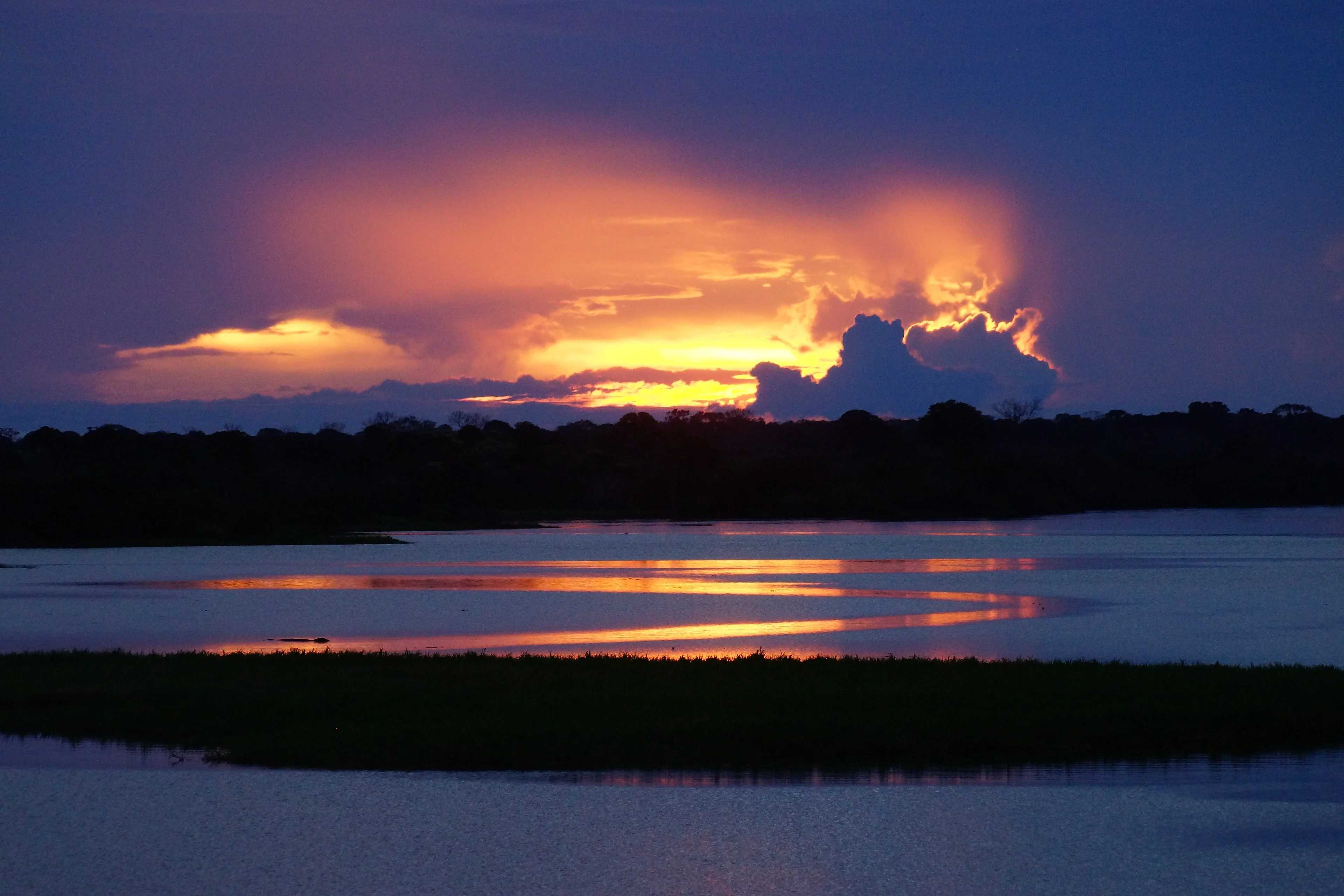Among the channels of the Amazon River