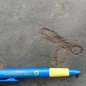 Bioturbation in Taiwan