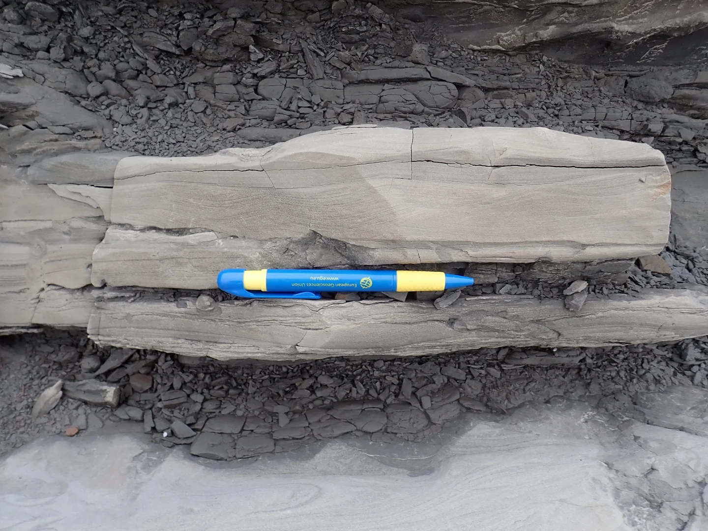 Climbing ripples, Pleistocene foreland basin of Taiwan