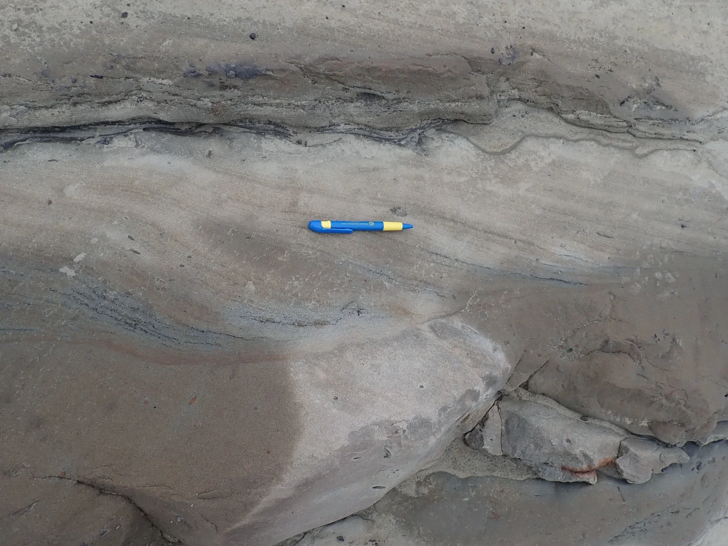 Cross-bedffing base (pleistocene foreland basin, Taiwan)