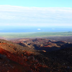 View on the border of the forest and volcano's lava zone from the top of 2nd Scoria Cone