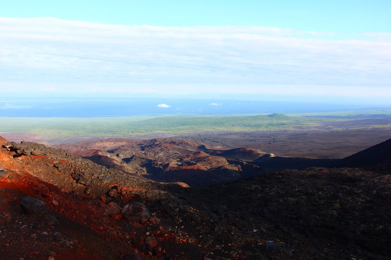 View on the border of the forest and volcano's lava zone from the top of 2nd Scoria Cone