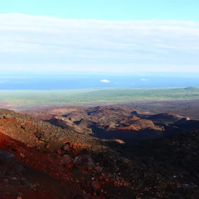 View on the border of the forest and volcano's lava zone from the top of 2nd Scoria Cone