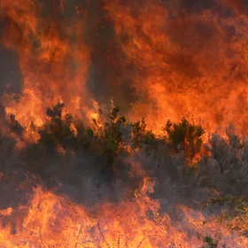 The art of Fire in soil system