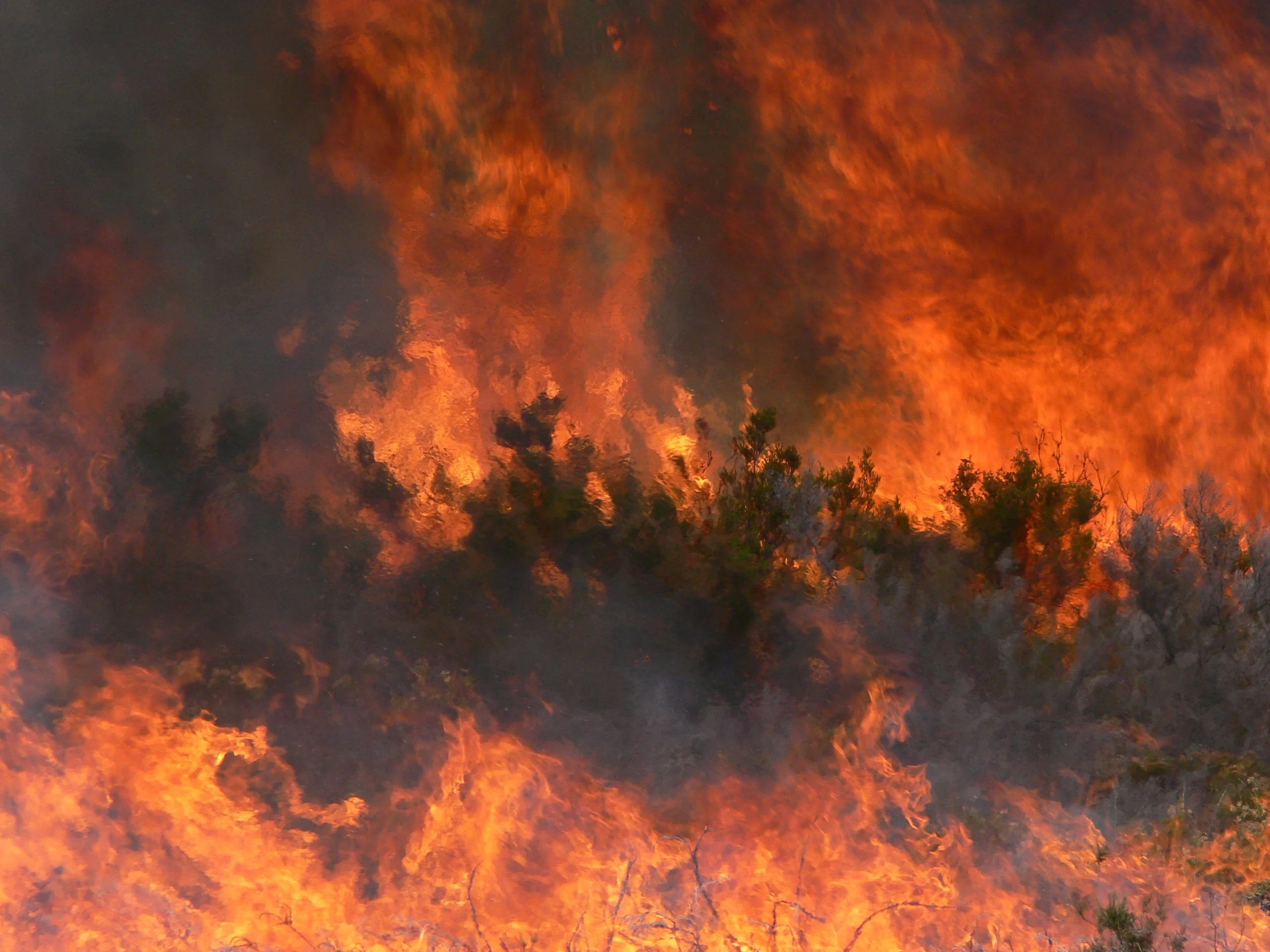 The art of Fire in soil system