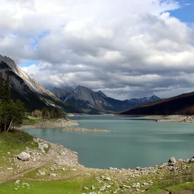 A powerful story about forest resiliency and renewal