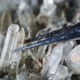 Calcite crystals of microbial origin