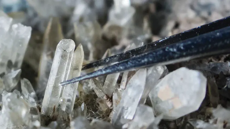Calcite crystals of microbial origin