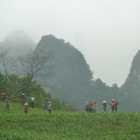 Farmers work in Vietnam