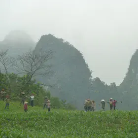 Farmers work in Vietnam