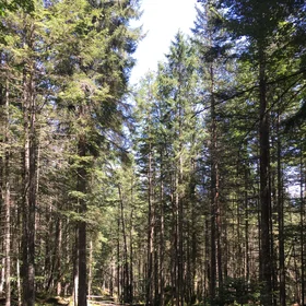 The undisturbed nature