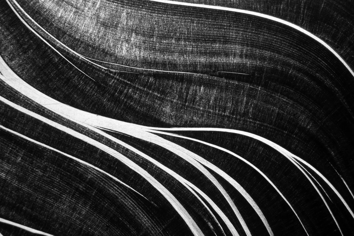 The beauty of shells