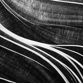 The beauty of shells