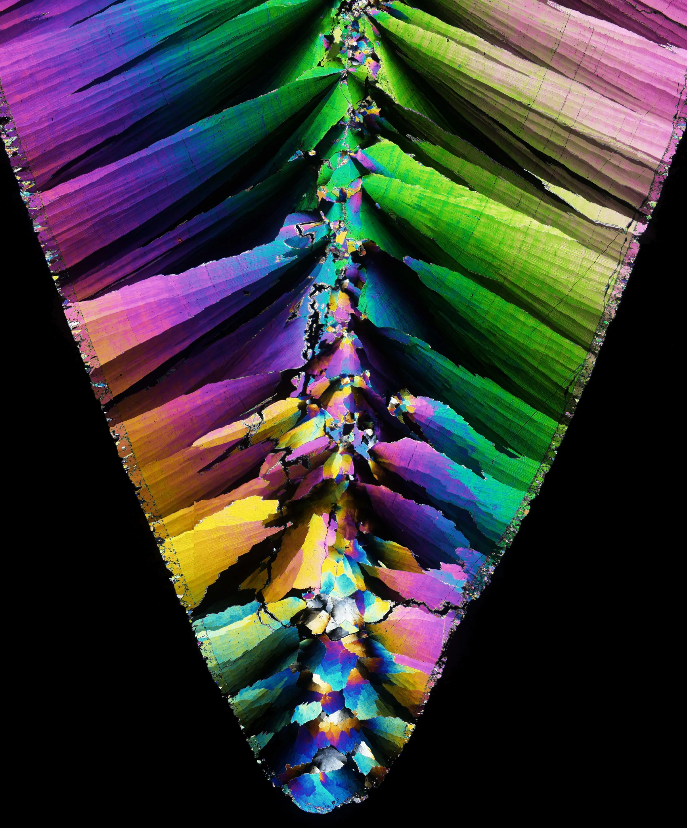 The beauty of shells