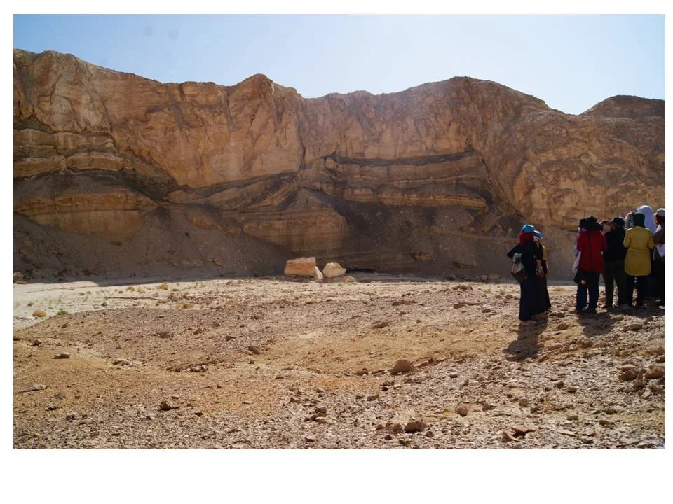 Tectonic in the Gulf of Suez, Egypt