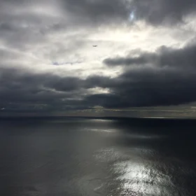 Flying high and without fear