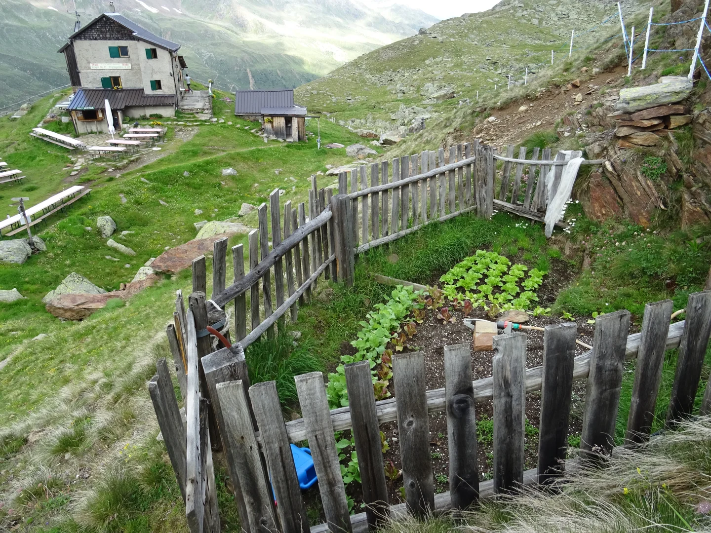 Vegetable garden at 2600m in the Alps