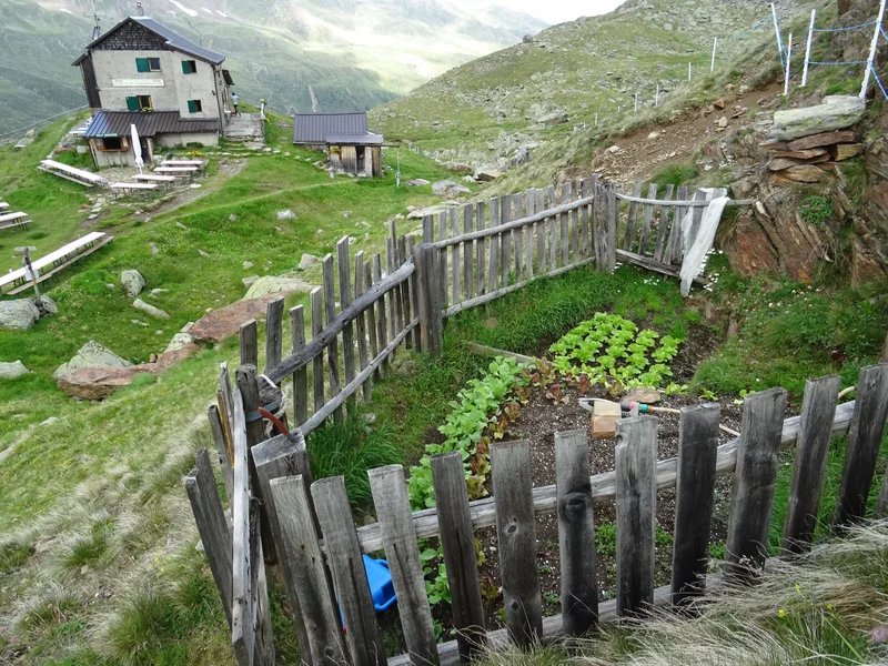 Vegetable garden at 2600m in the Alps