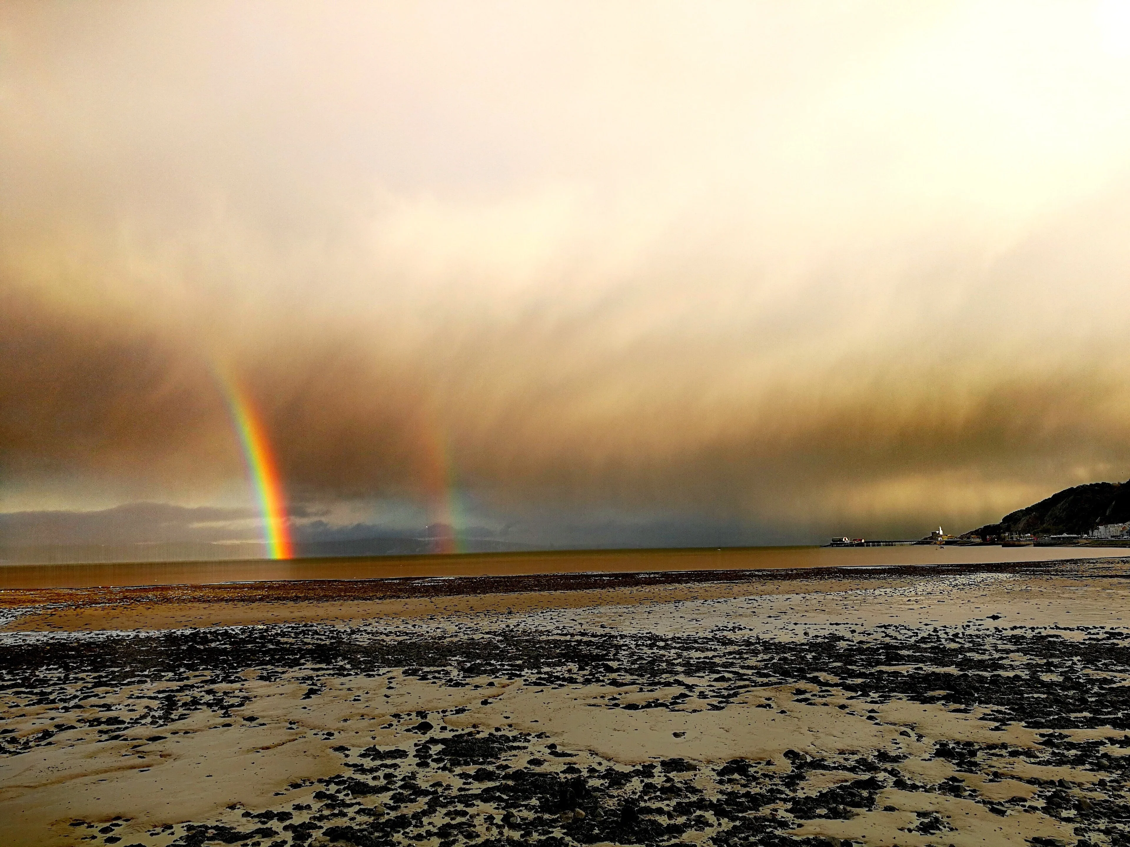 All seasons in one day