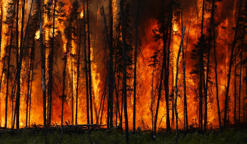 Boreal forest fire in Canada