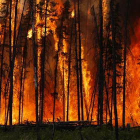 Boreal forest fire in Canada