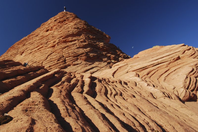 Cross-bedded eolian sandstone in Utah (Vermillion cliffs wilderness)