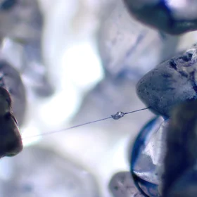 Mucilage thread connecting sand particles