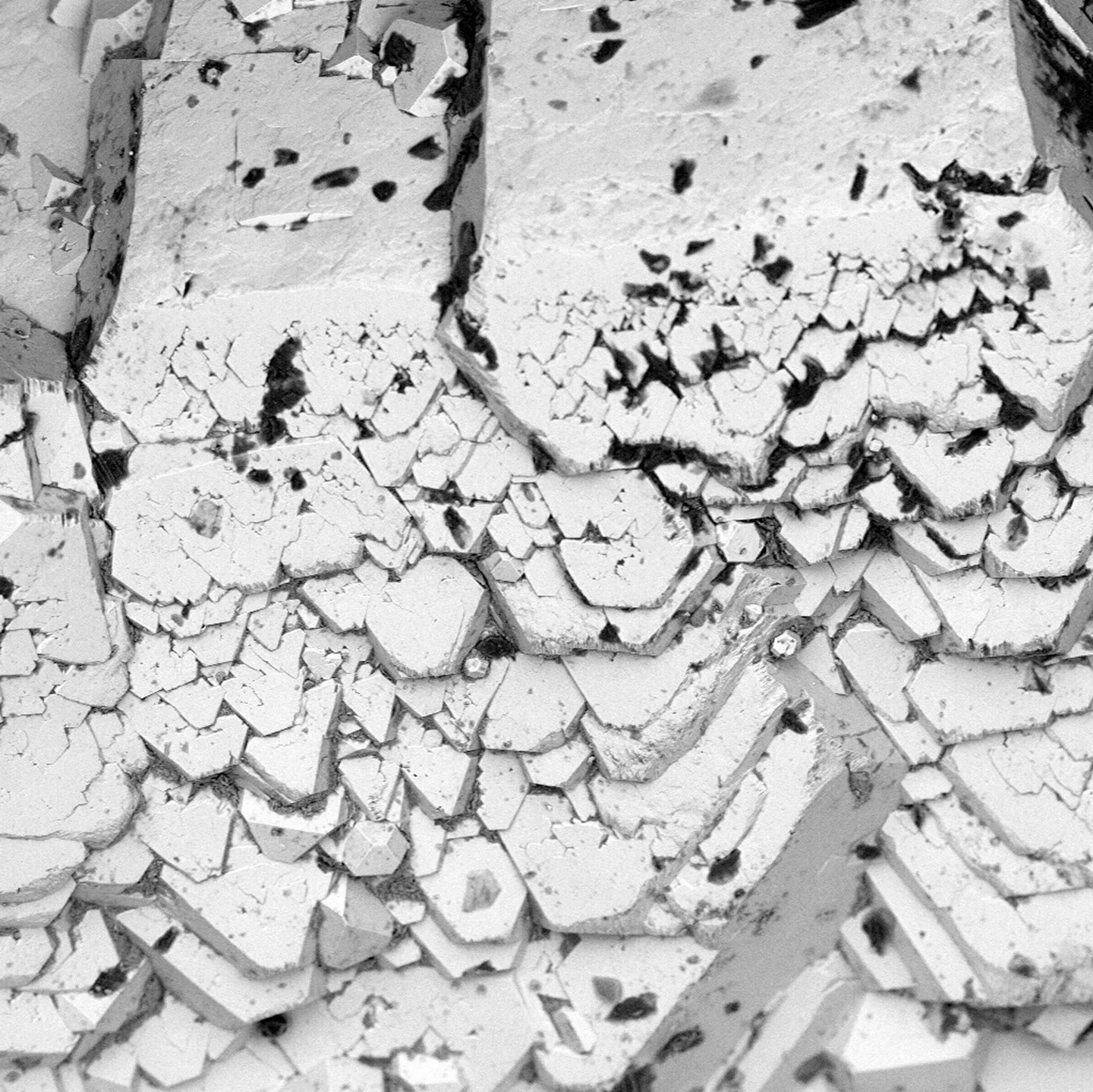 Morfology of pyrite nodules
