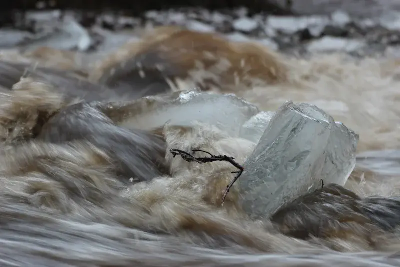 Rain on Snow meets Ice