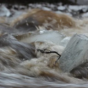 Rain on Snow meets Ice