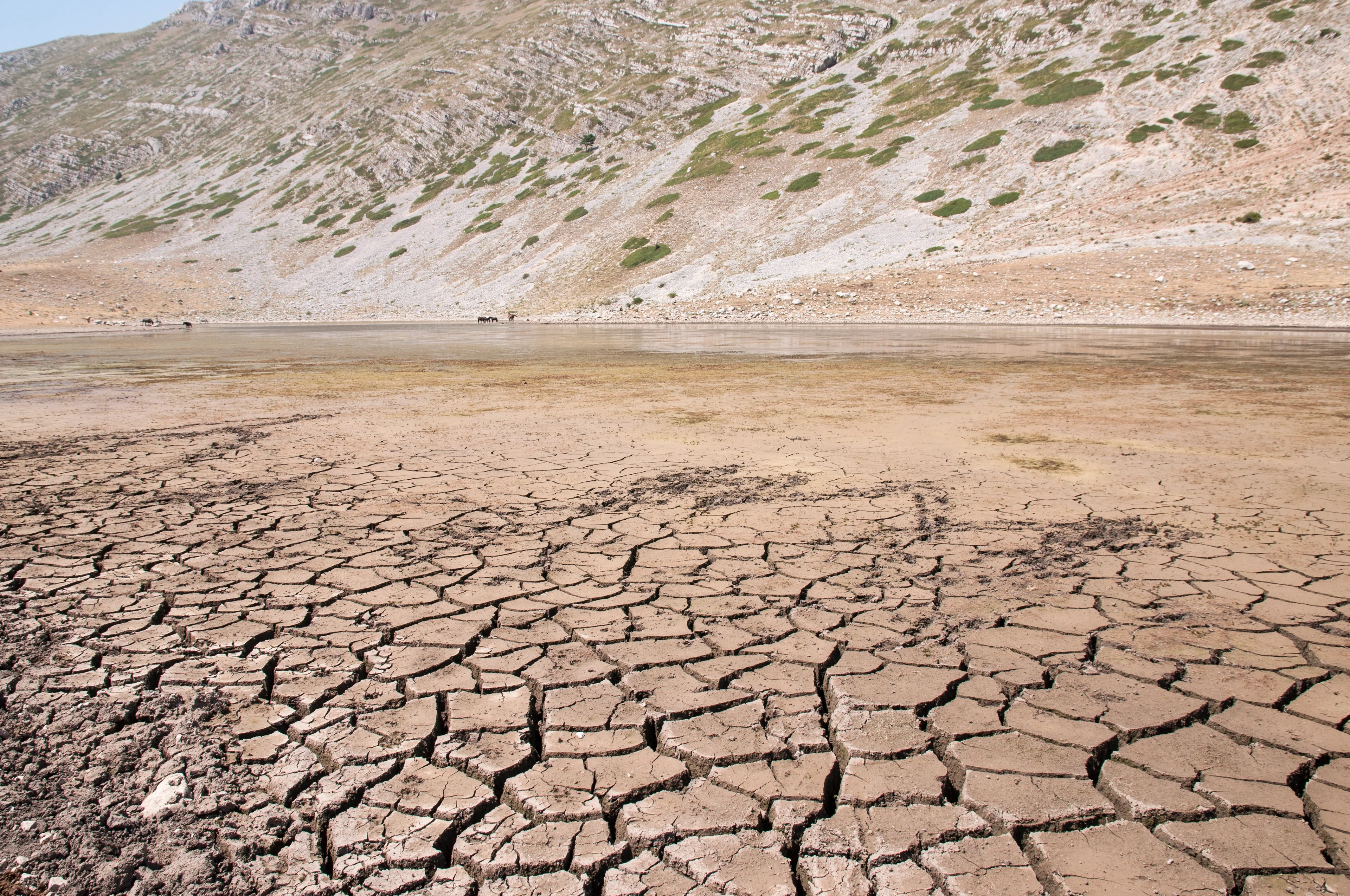 Dryness of the last Mediterranea summer