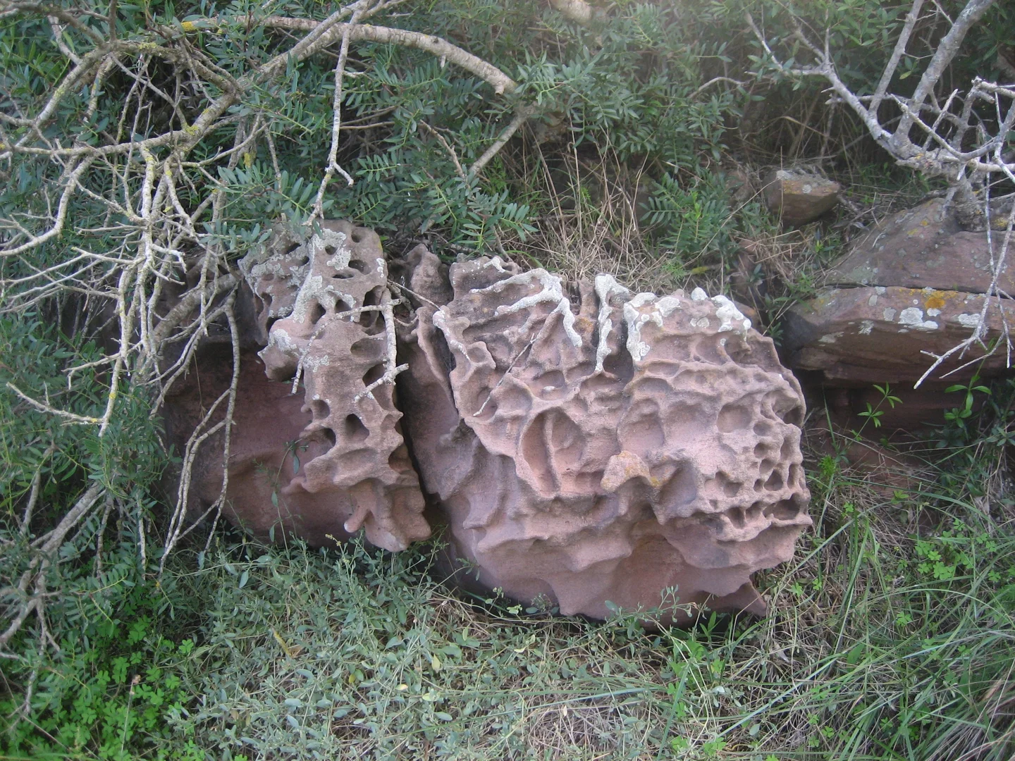 Whatering sandstone by Pere Crespi. Menorca.