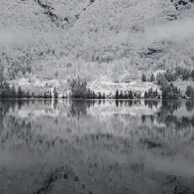 Through the upside down