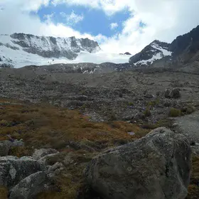 Charquini glacier removal provides water to high andean peatlands