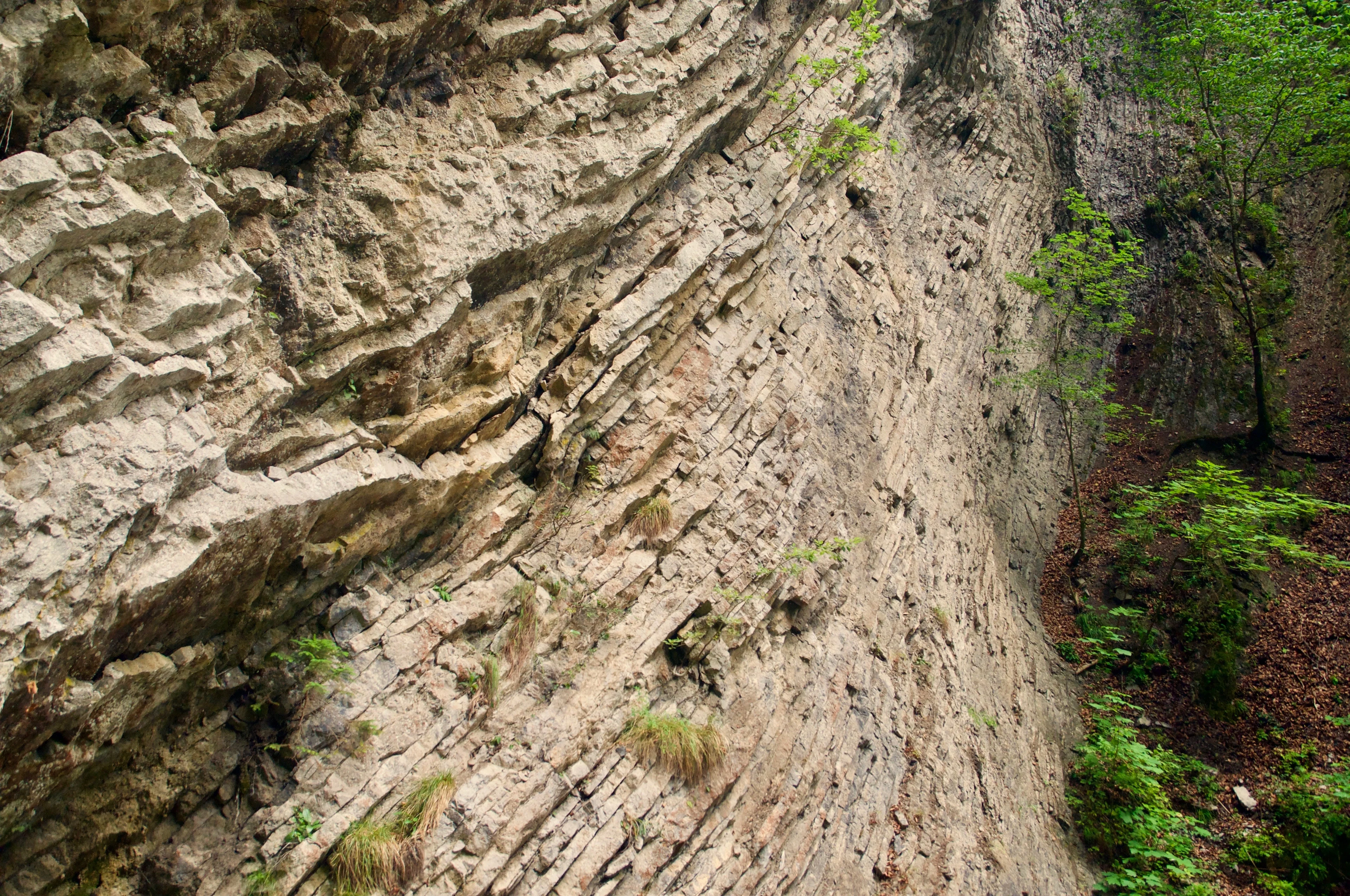 Layered Rocks of the Préalpes