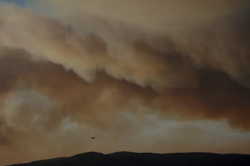 Nature set on fire by humans