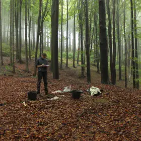 Soil sampling in Outer Western Carpathians