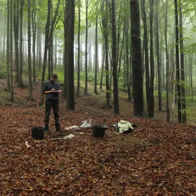 Soil sampling in Outer Western Carpathians