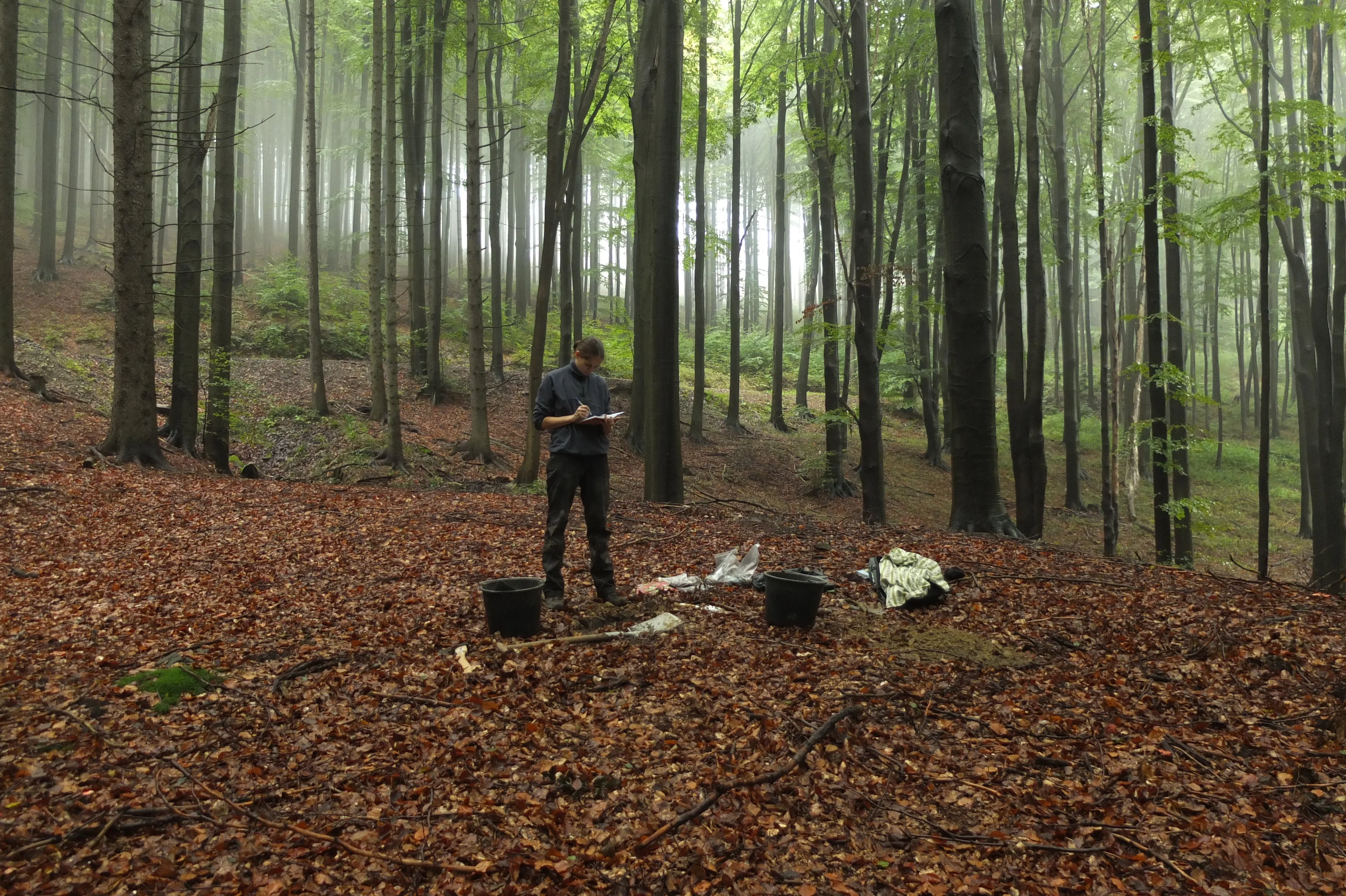 Soil sampling in Outer Western Carpathians