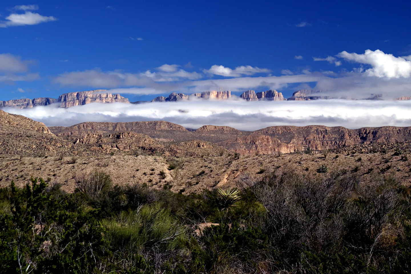 A chilly day in the Big Bend NP