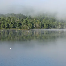 Waiting for the fog to lift