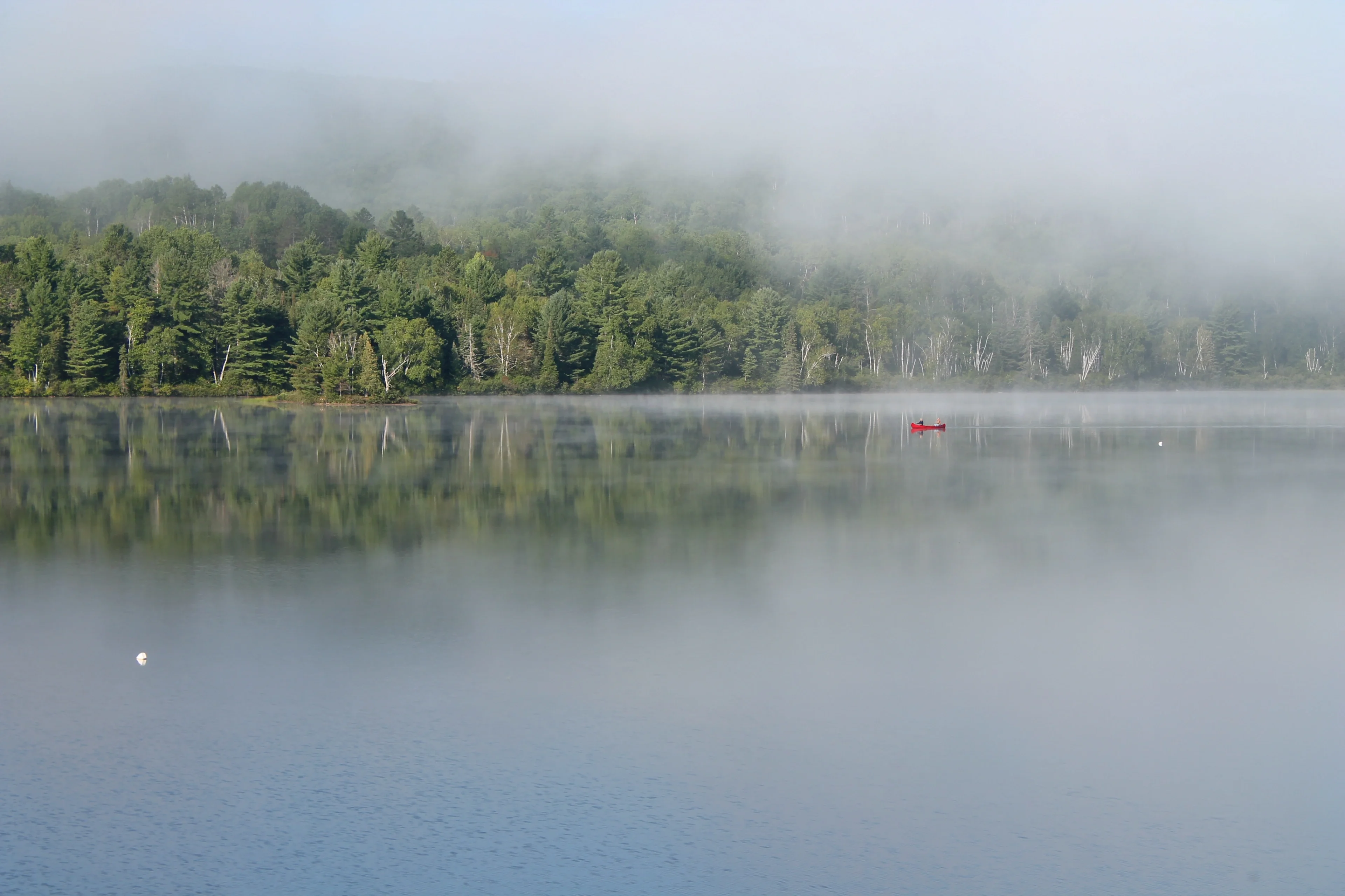 Waiting for the fog to lift