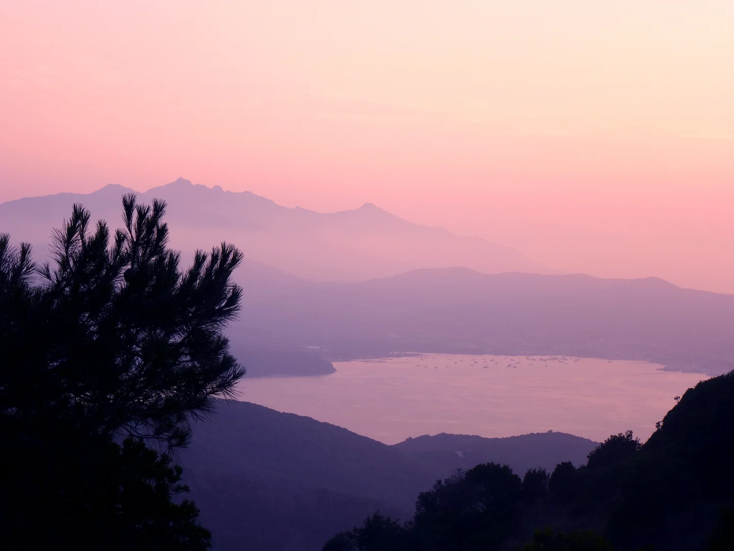Purple coastline at twilight