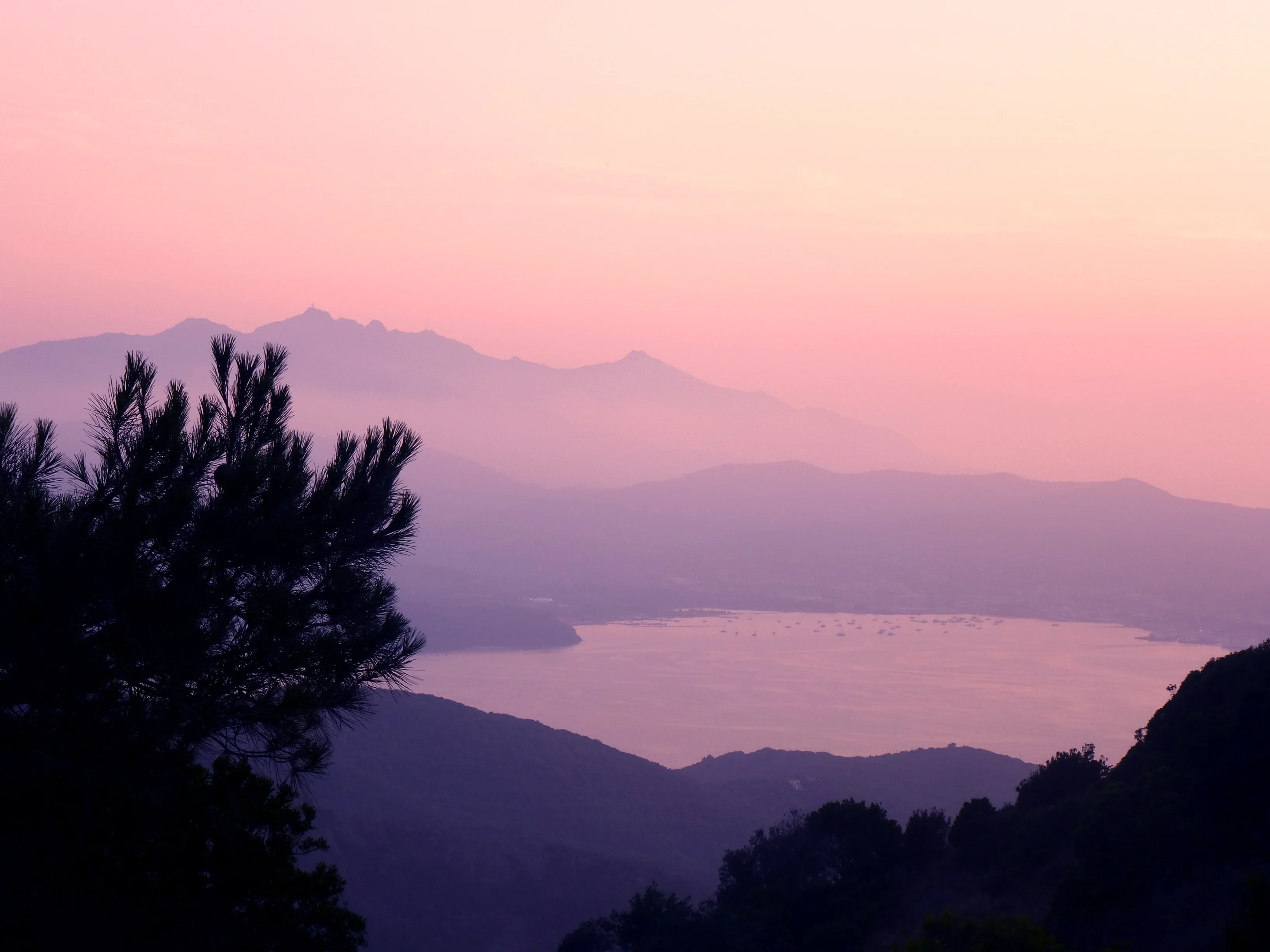 Purple coastline at twilight