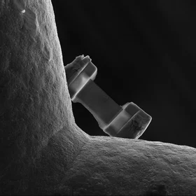 Tiny FIB section on its holder