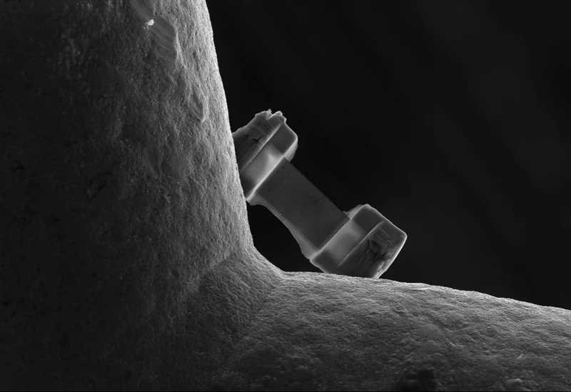 Tiny FIB section on its holder